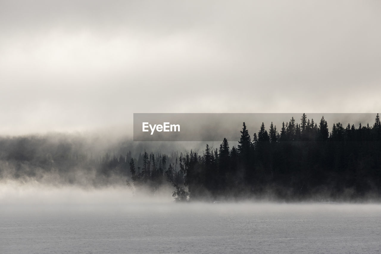 Thick mist over calm lake and tree lined shore during sunrise