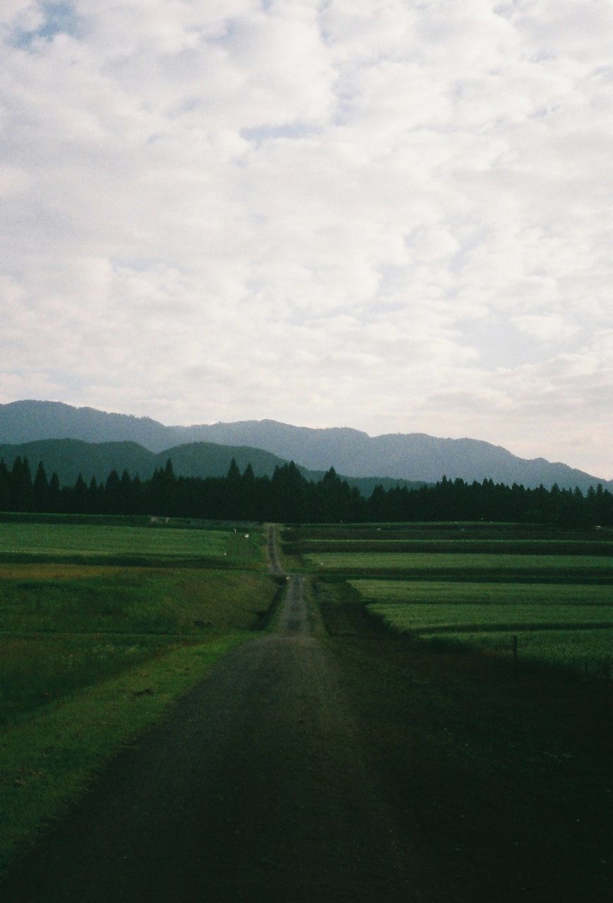 SCENIC VIEW OF LANDSCAPE AGAINST CLOUDY SKY