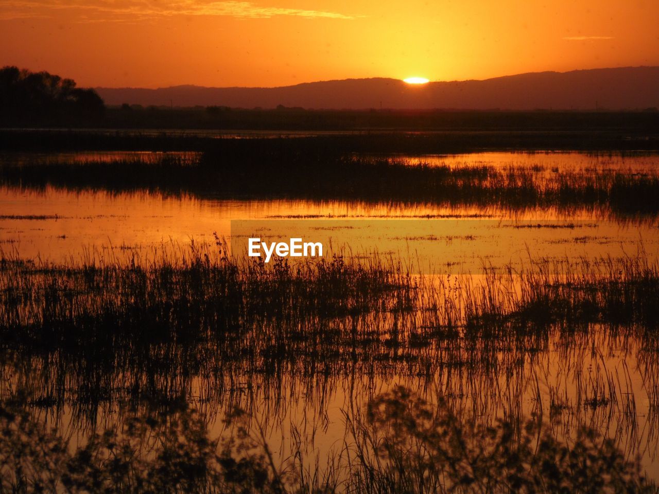 VIEW OF CALM LAKE DURING SUNSET