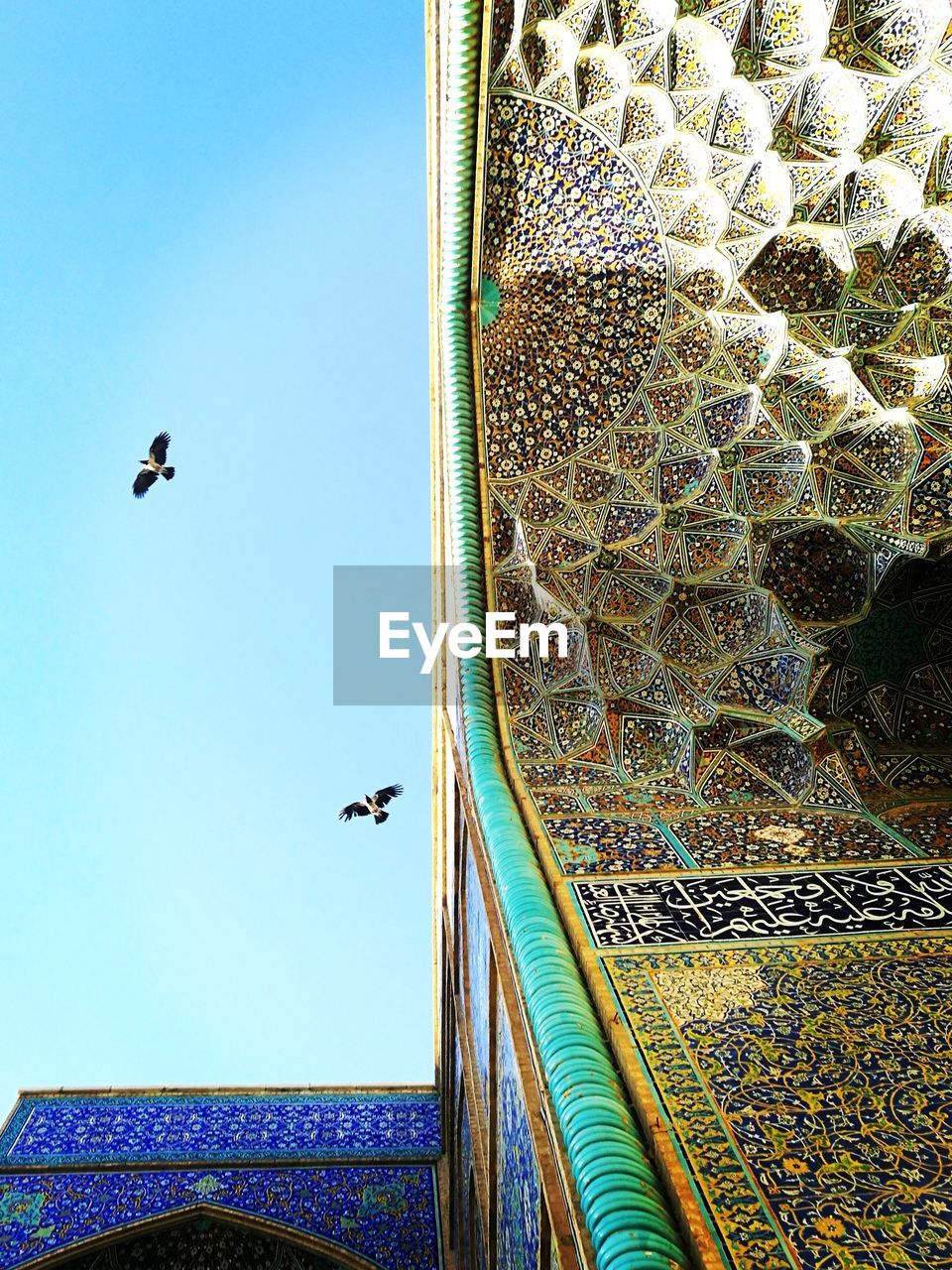 LOW ANGLE VIEW OF BIRDS FLYING AGAINST SKY