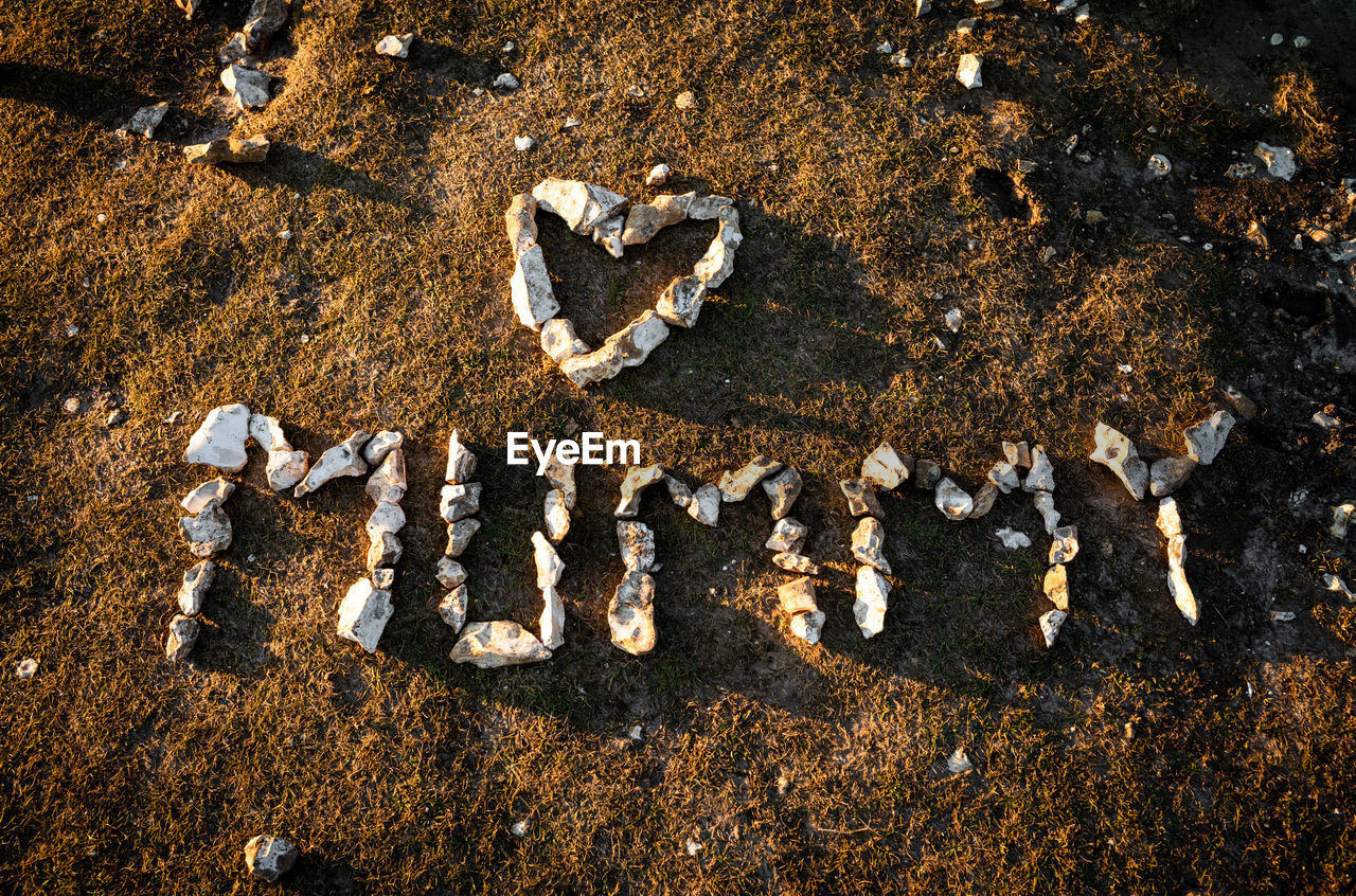 The word mummy and a heart shape are made out of flint pebbles a headland above a beach. 