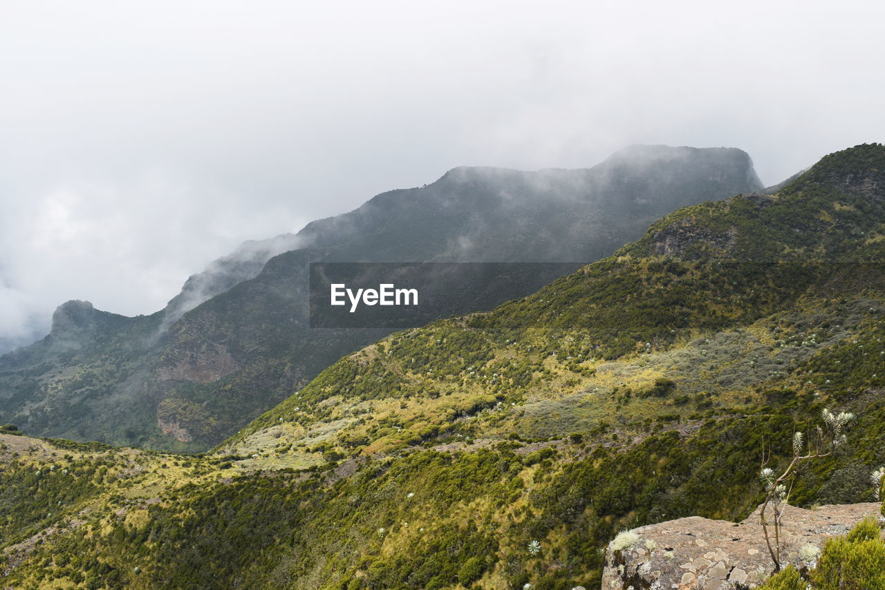 The foggy landscapes in the aberdare ranges on the flanks of mount kenya