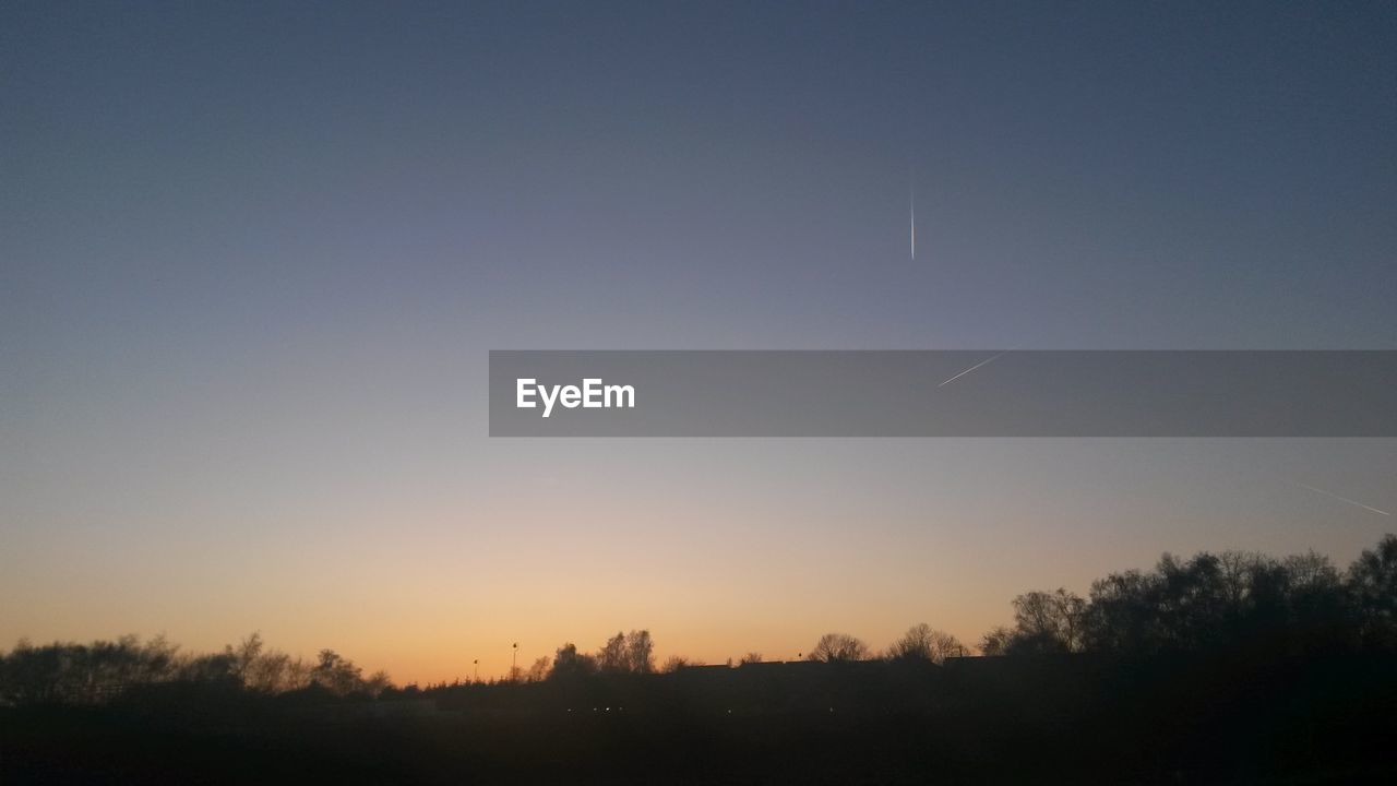 SILHOUETTE OF TREES ON LANDSCAPE