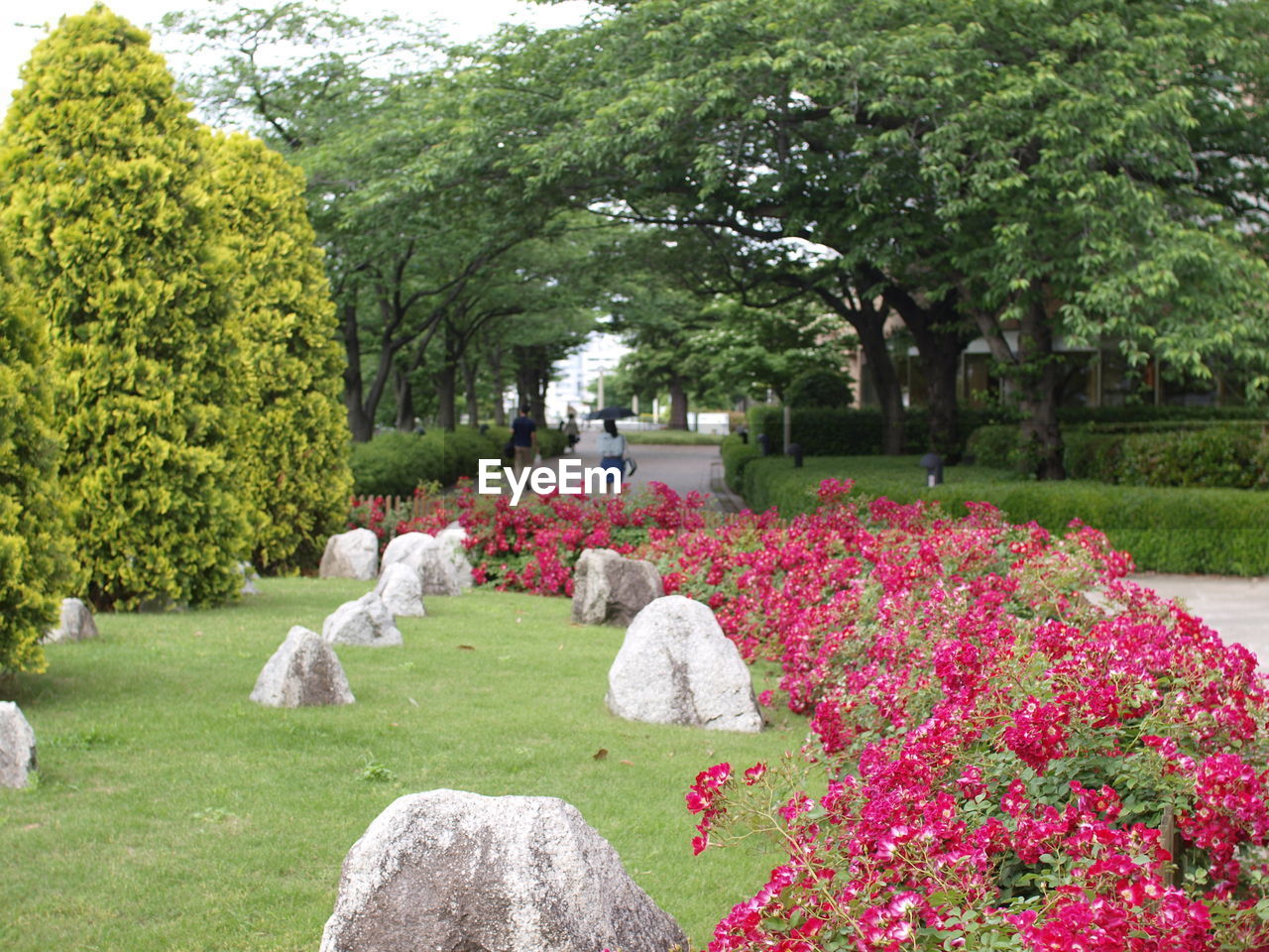 VIEW OF WOMEN SITTING AT PARK