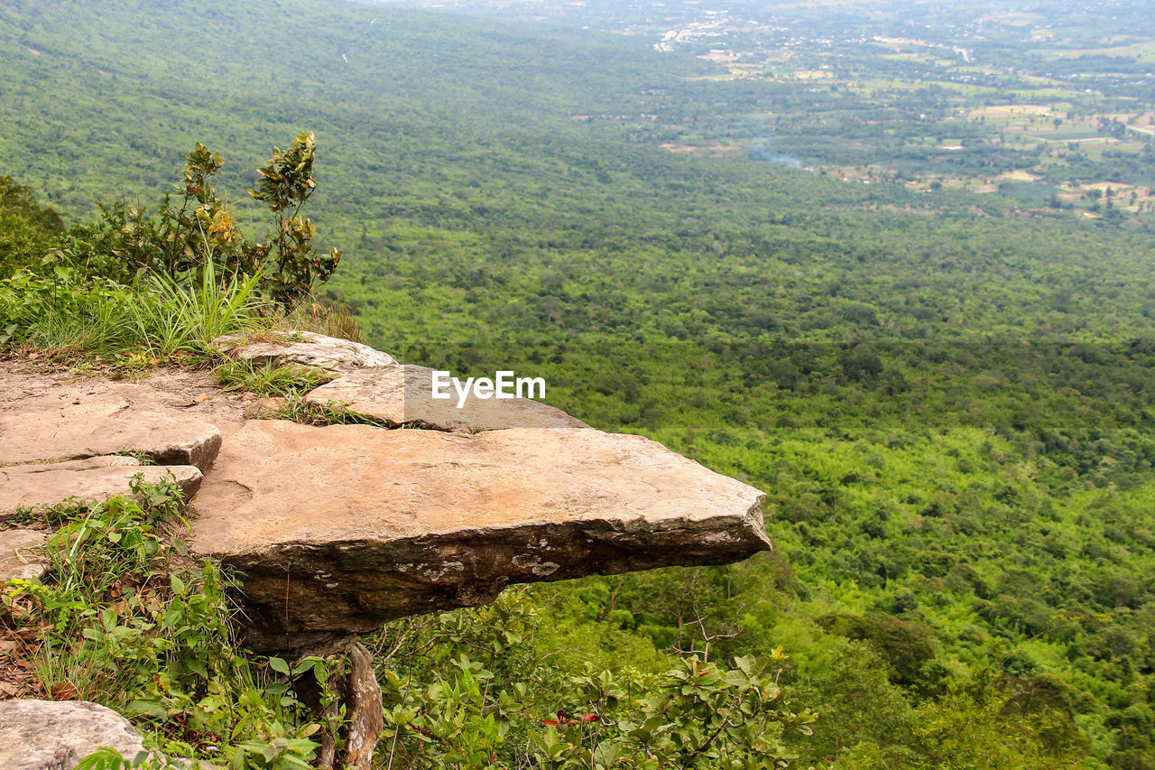 CLOSE-UP OF GREEN LANDSCAPE