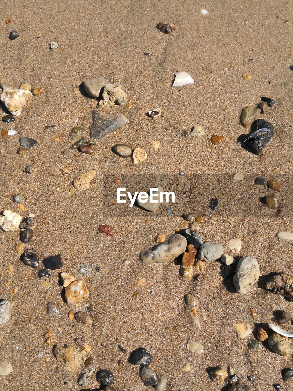 HIGH ANGLE VIEW OF FOOTPRINTS ON WET SAND AT BEACH