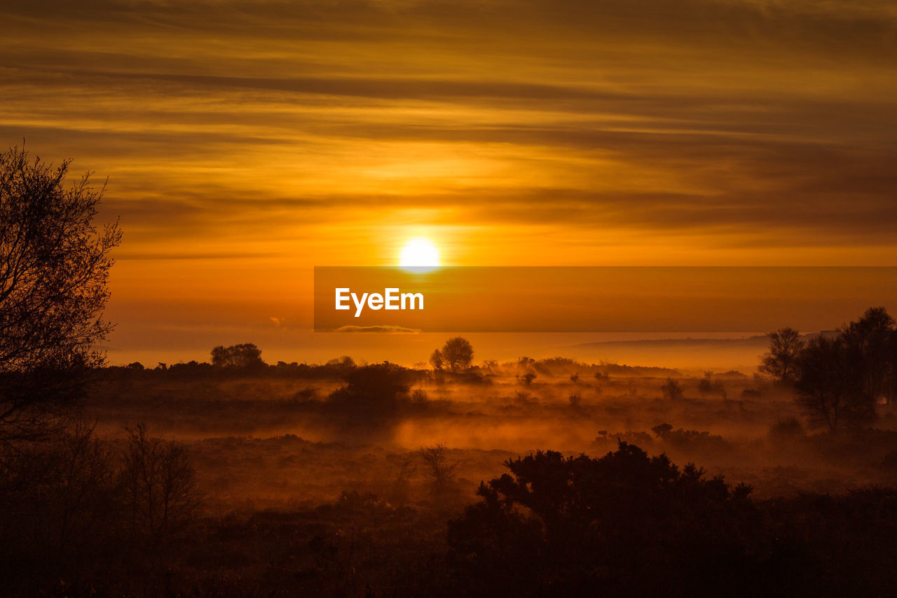 Freezing fog sunrise