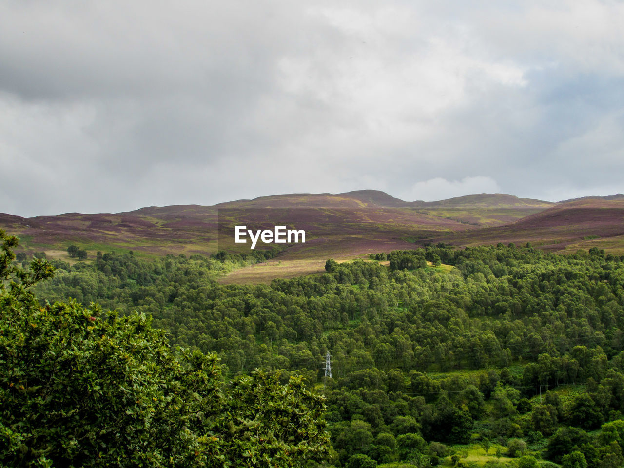 Scenic view of landscape against cloudy sky