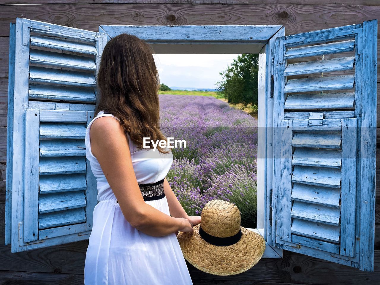 Woman in white dress looking out the open window at a field of lavender flowers