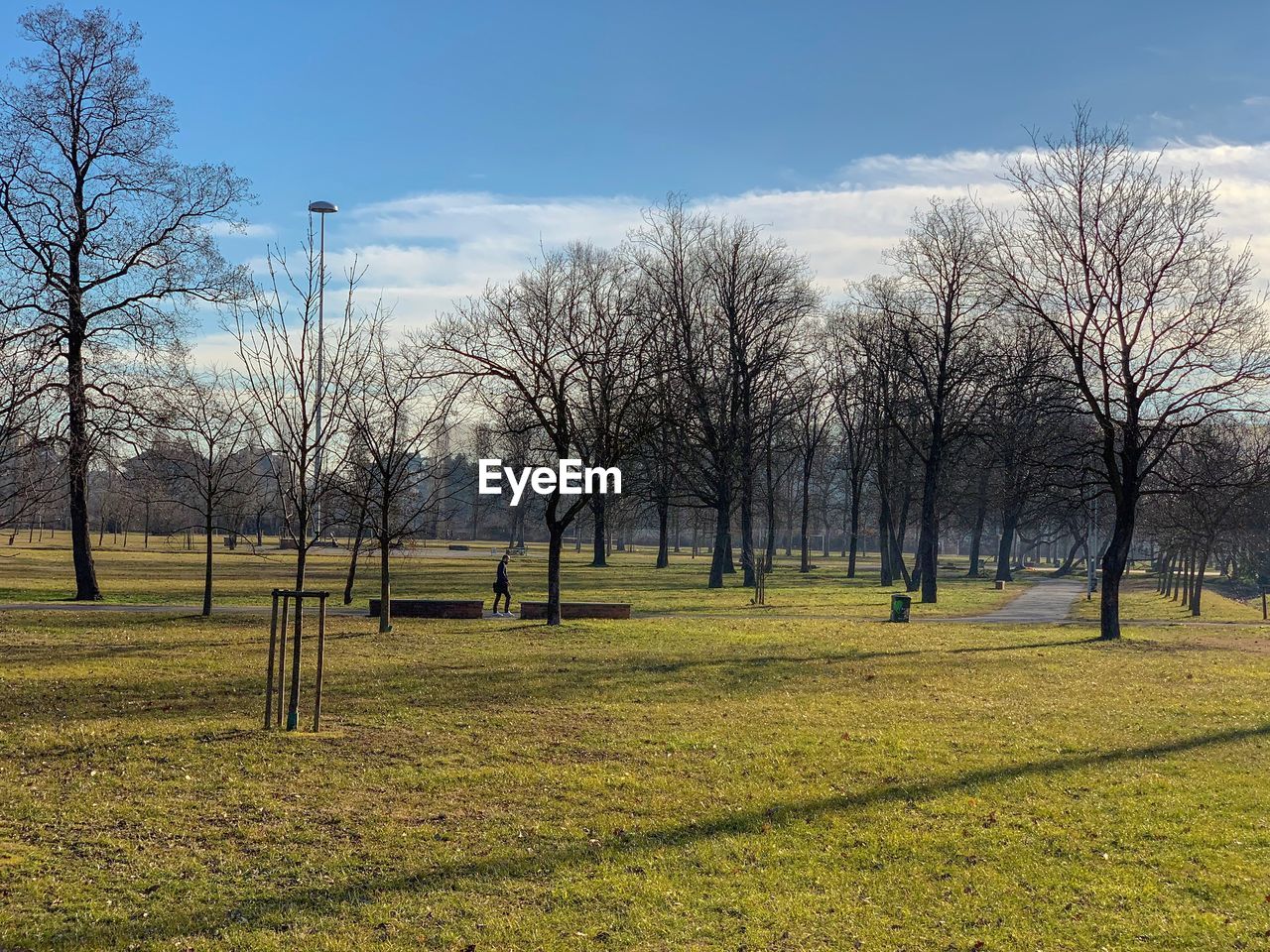 Man walking by bare trees on field against sky