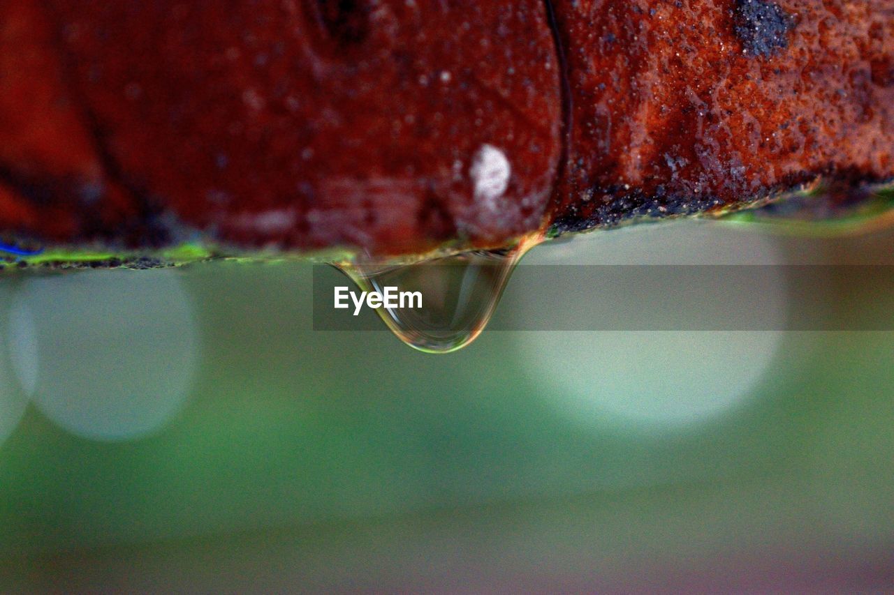 Macro shot of rain drop on red brick