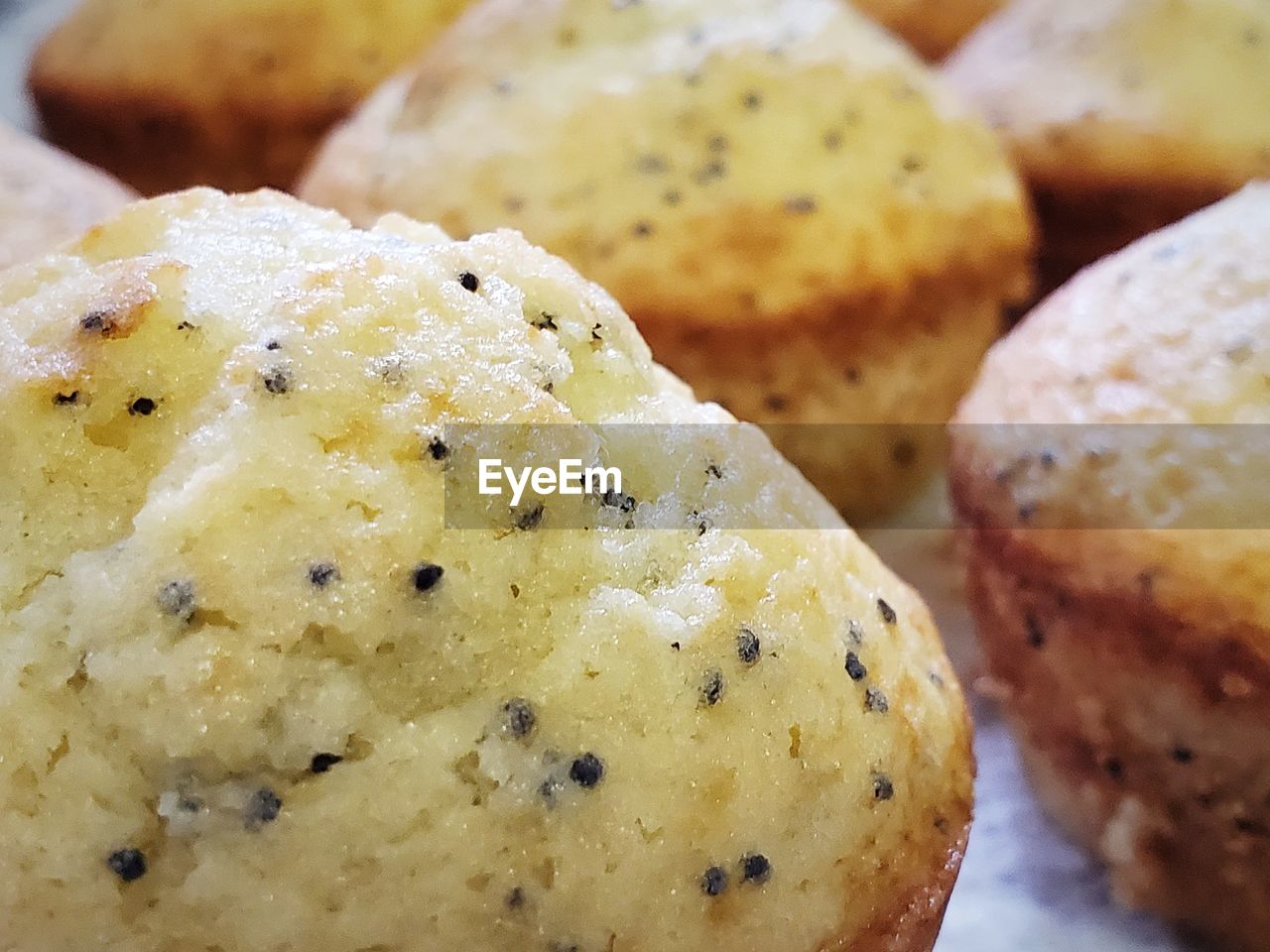 Close-up of poppy seed muffin 