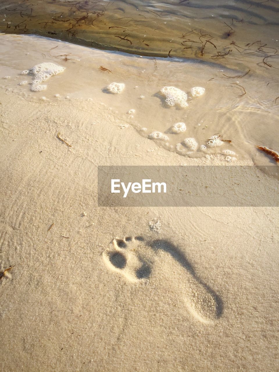 High angle view of footprints on beach