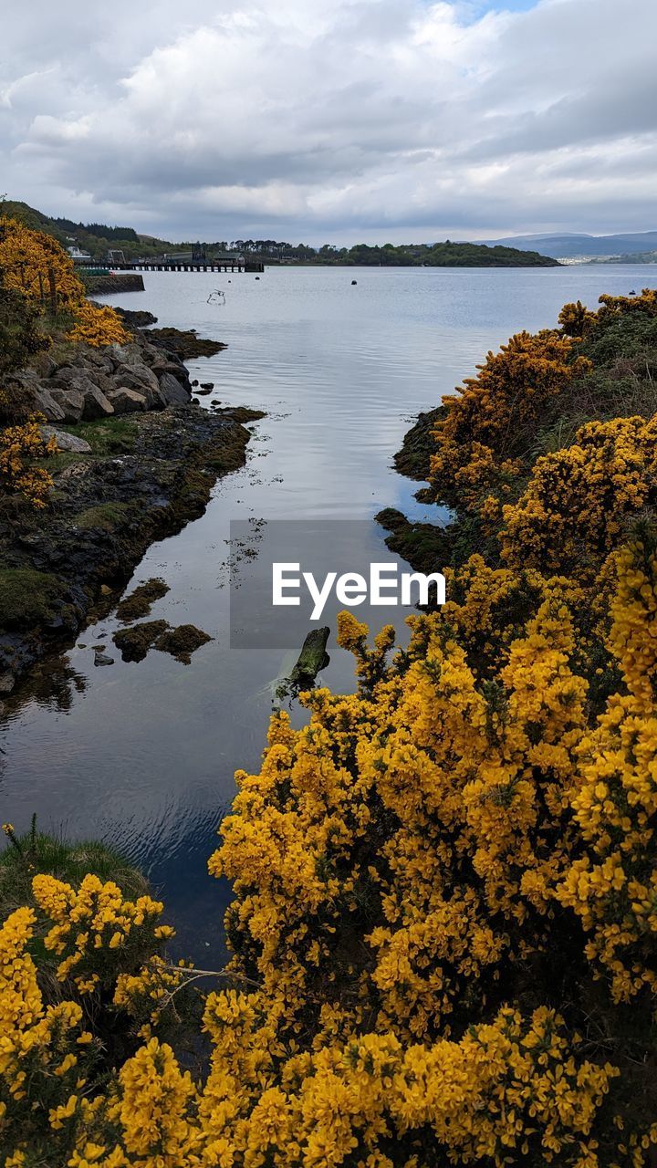 Scenic view of lake against sky during autumn