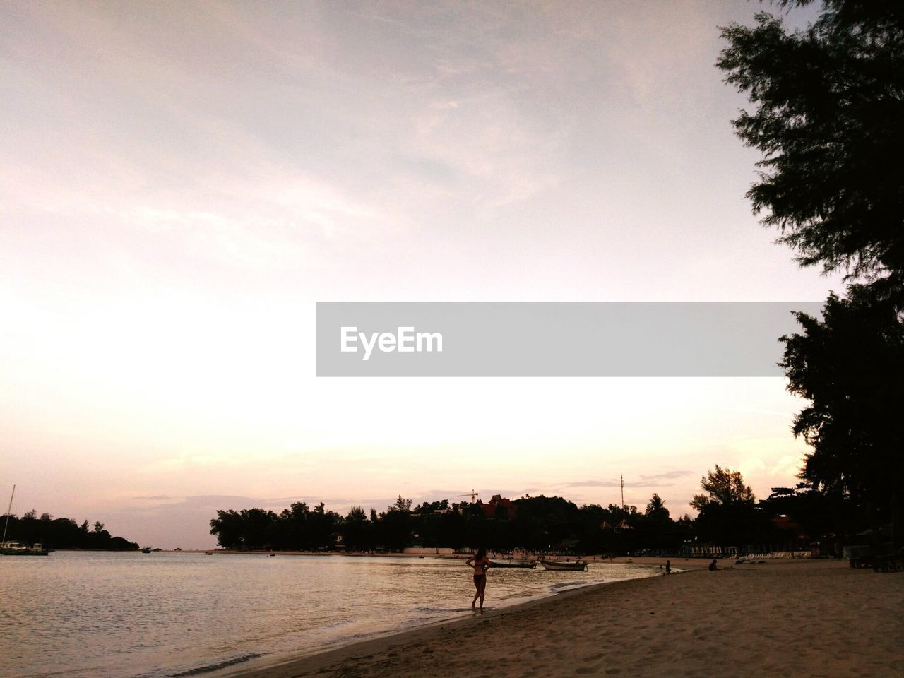 SCENIC VIEW OF SILHOUETTE TREES DURING SUNSET