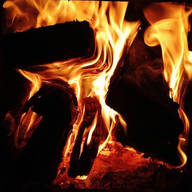 CLOSE-UP OF CAMPFIRE