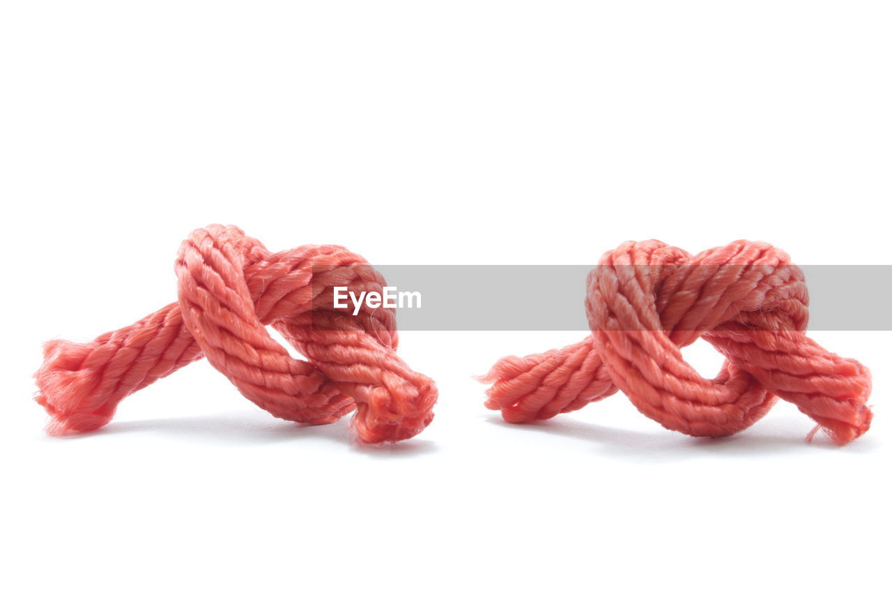 white background, cut out, red, orange, studio shot, petal, wool, no people, indoors, pink, textile, copy space, close-up, ball of wool, white, rope