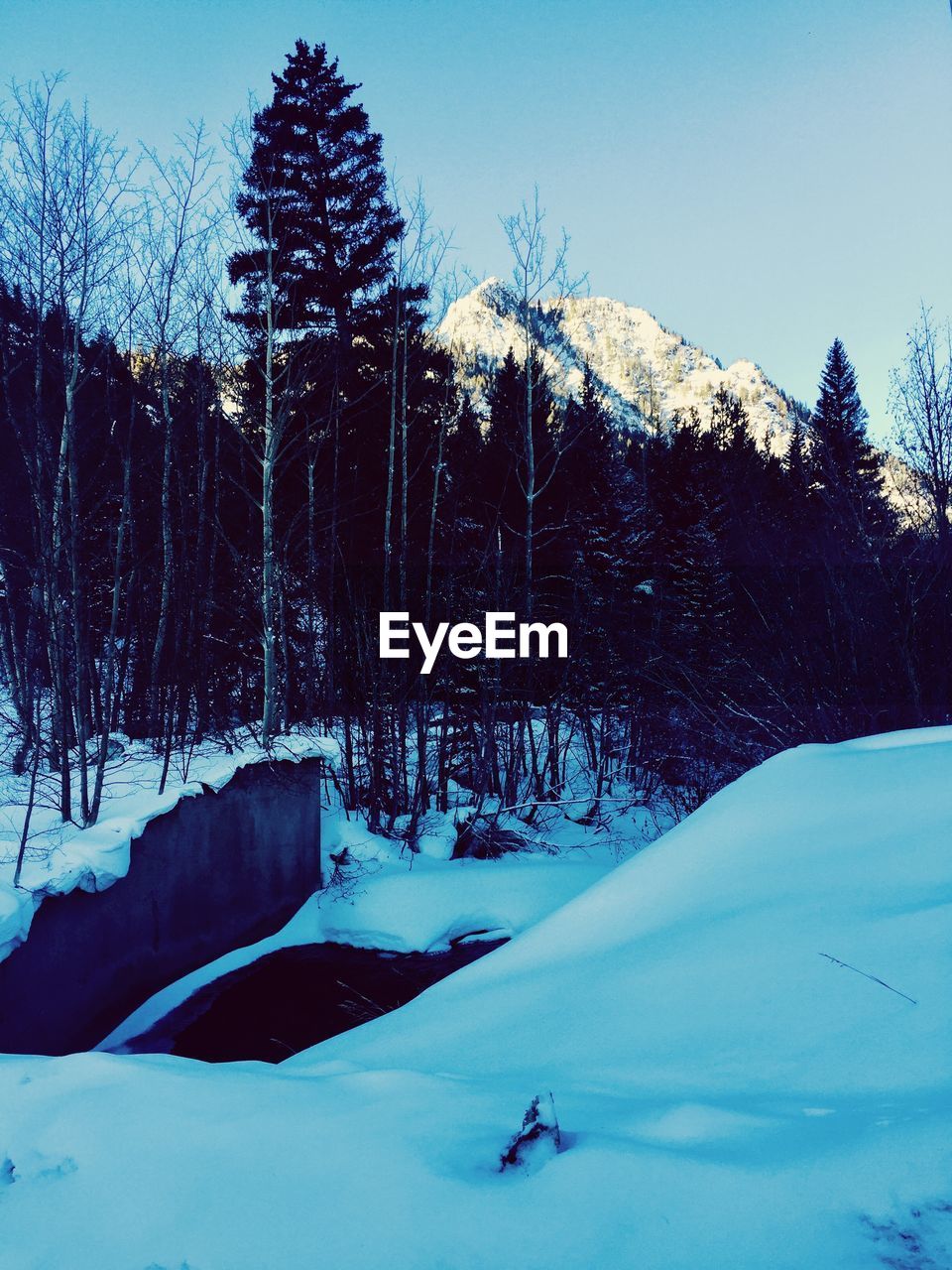 Scenic view of snow covered field against sky