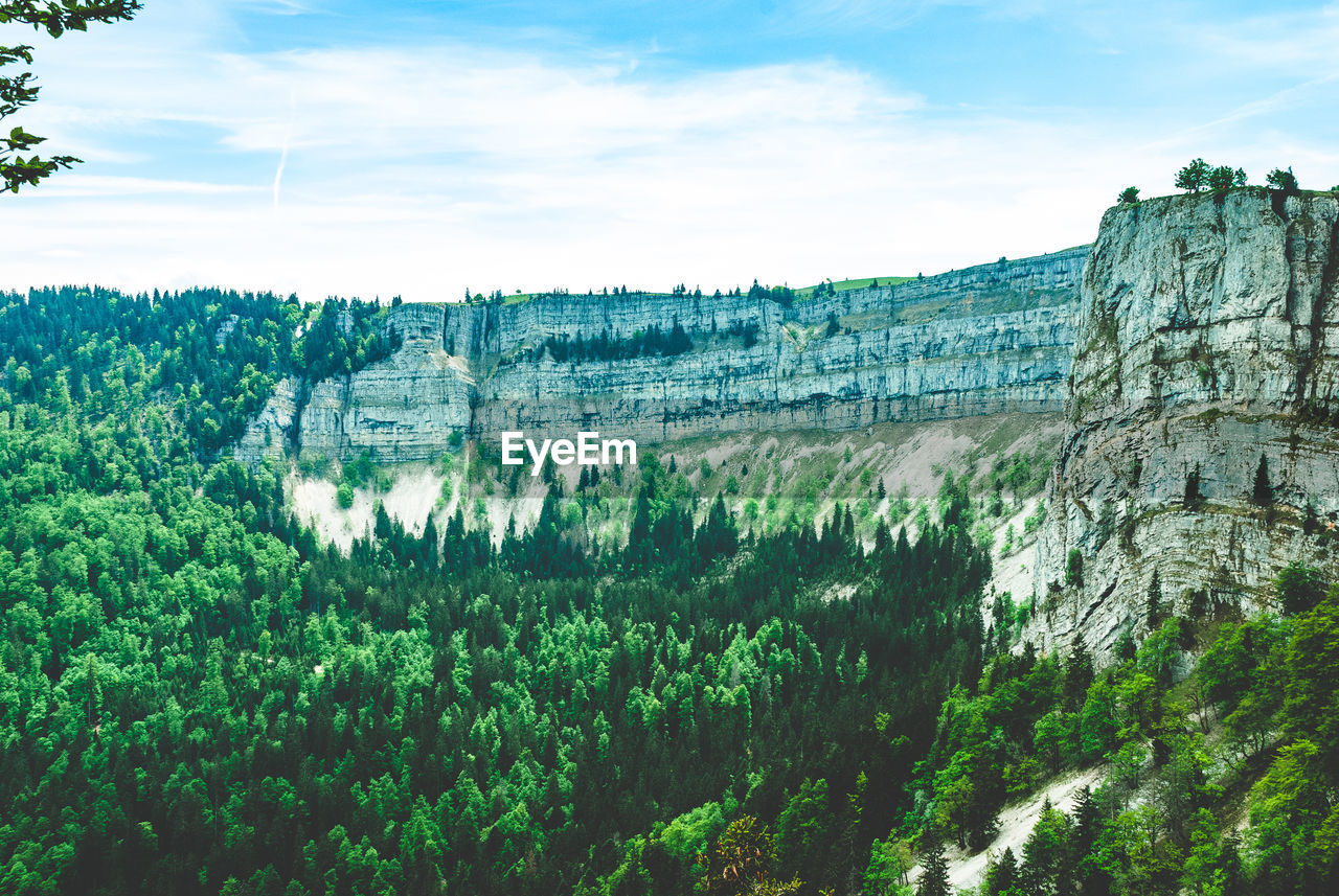 Panoramic shot of trees on mountain against sky