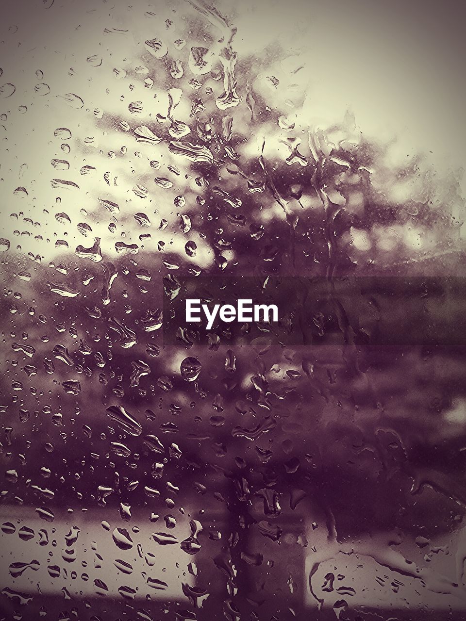 Drops on window