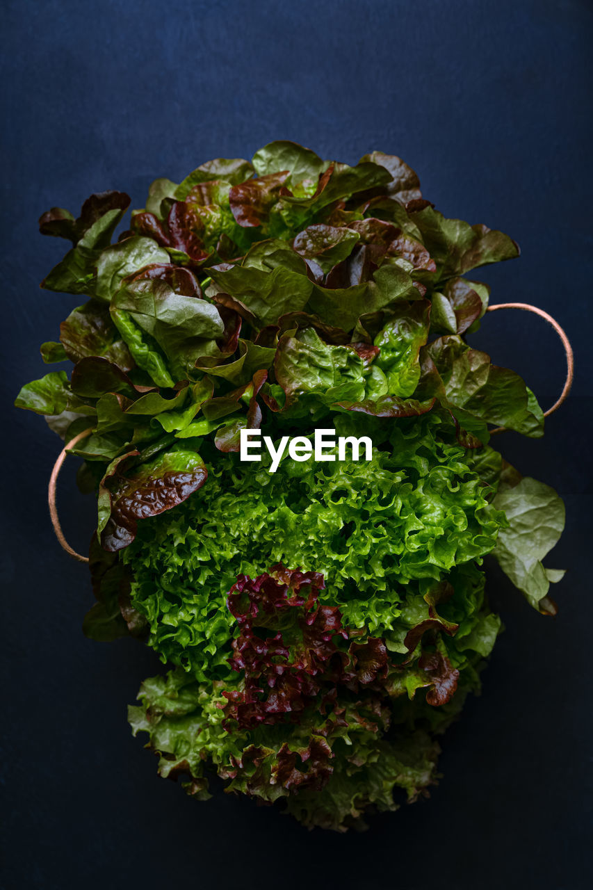 Various leaf salads in paper bag on dark blue background, top view