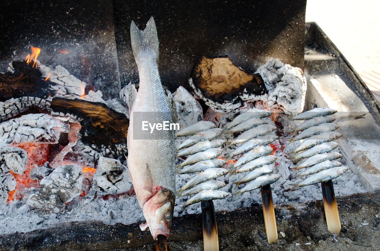 Rows of anchovies and sardine on wooden skewers cooking on a beach bbq