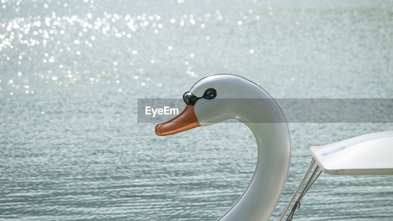 Swan shape pedal boat in lake