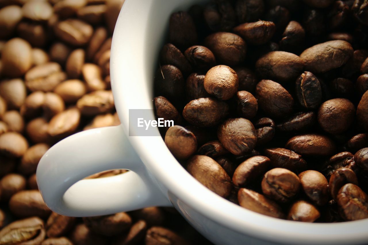 Close-up of roasted coffee beans in cup