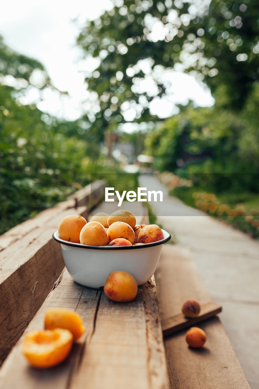 Ripe juicy homemade apricots with cracks and flaws in the plate and scattered on wooden boards