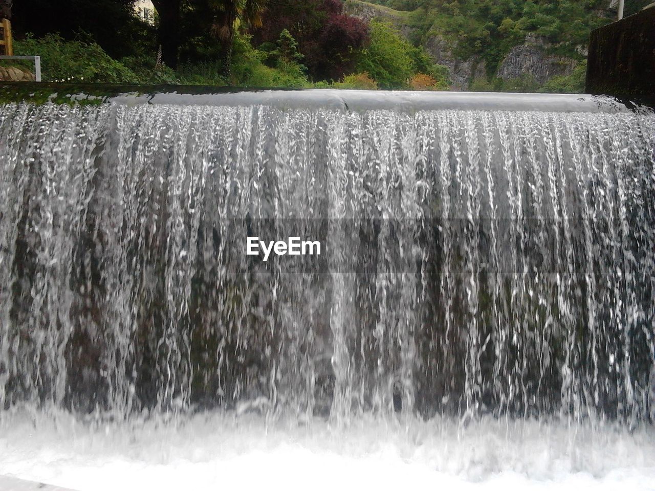 Water flowing in forest