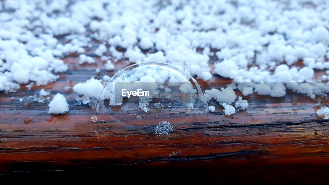 CLOSE-UP OF ICE CRYSTALS ON WOOD