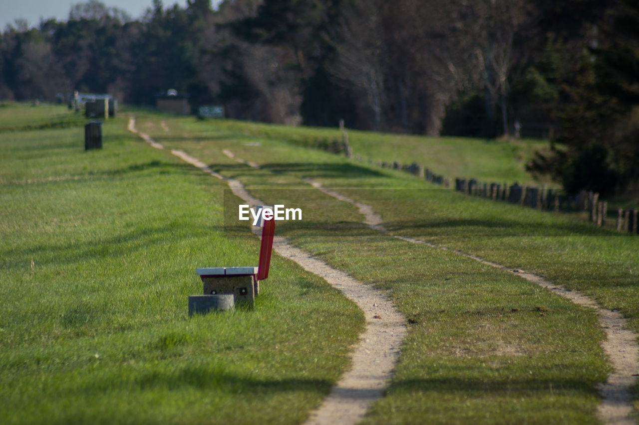 Green field in park