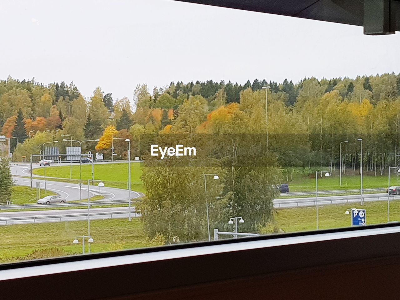 TREES AND PLANTS ON FIELD SEEN THROUGH WINDOW
