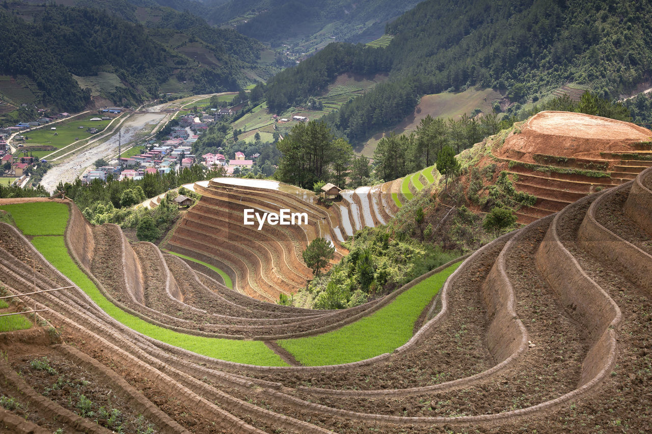 HIGH ANGLE VIEW OF WINDING ROAD ON FARM