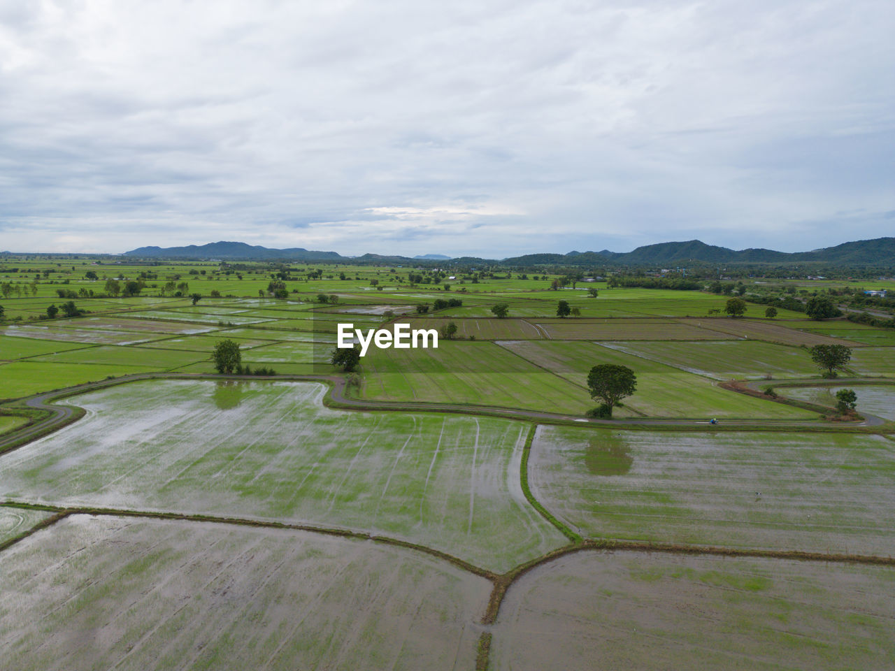 landscape, environment, agriculture, plain, scenics - nature, rural scene, land, field, sky, nature, plant, farm, cloud, paddy field, beauty in nature, tranquility, tranquil scene, rural area, green, hill, no people, grassland, day, sport venue, plateau, grass, growth, crop, outdoors, non-urban scene, aerial photography, idyllic, pasture, travel, water, tree