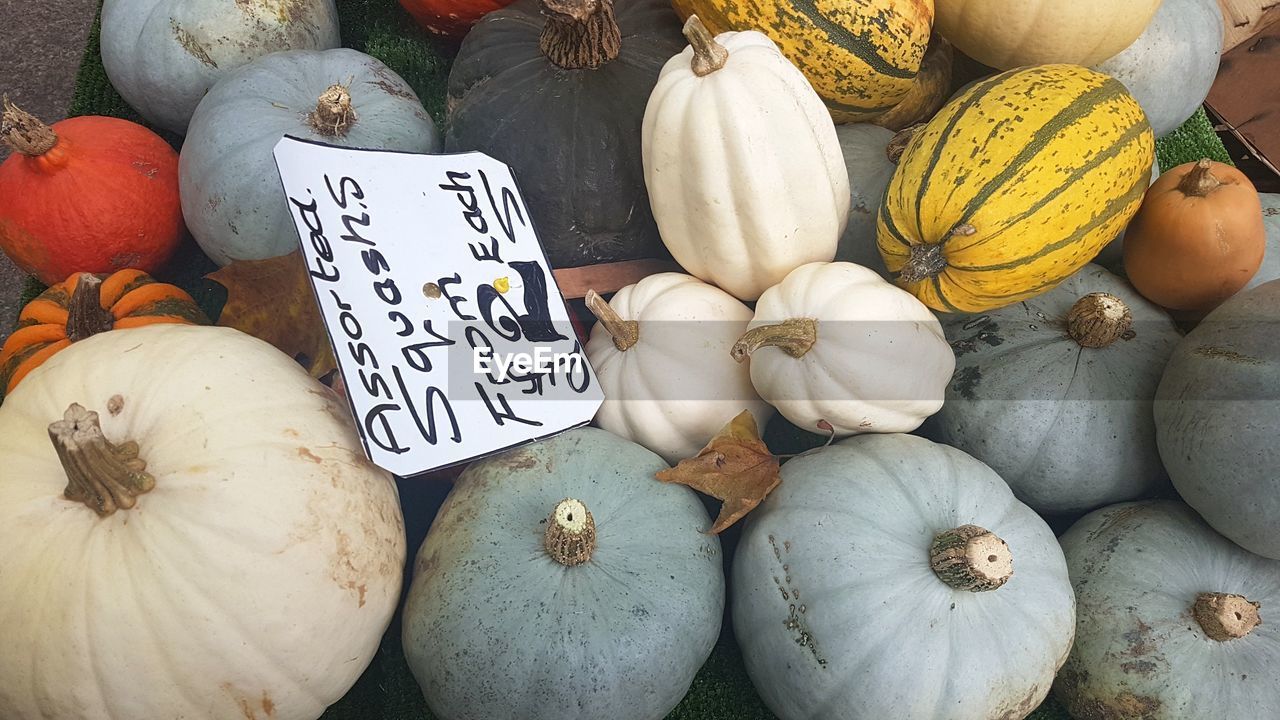 HIGH ANGLE VIEW OF PUMPKINS FOR SALE