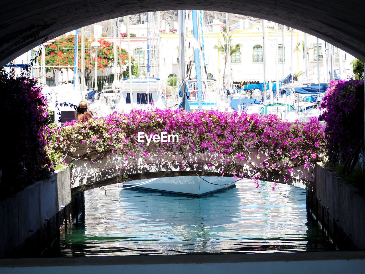 View of flowers in calm water