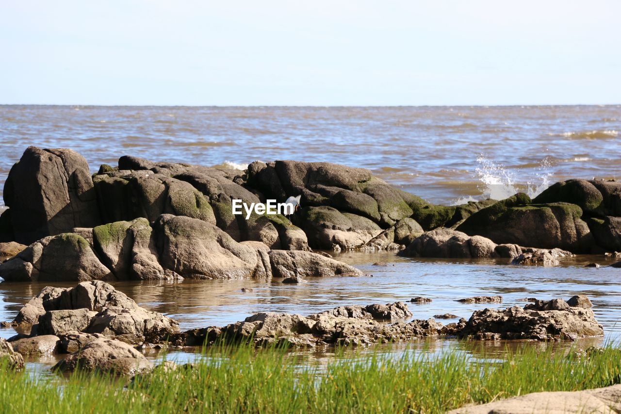 Scenic view of sea against clear sky