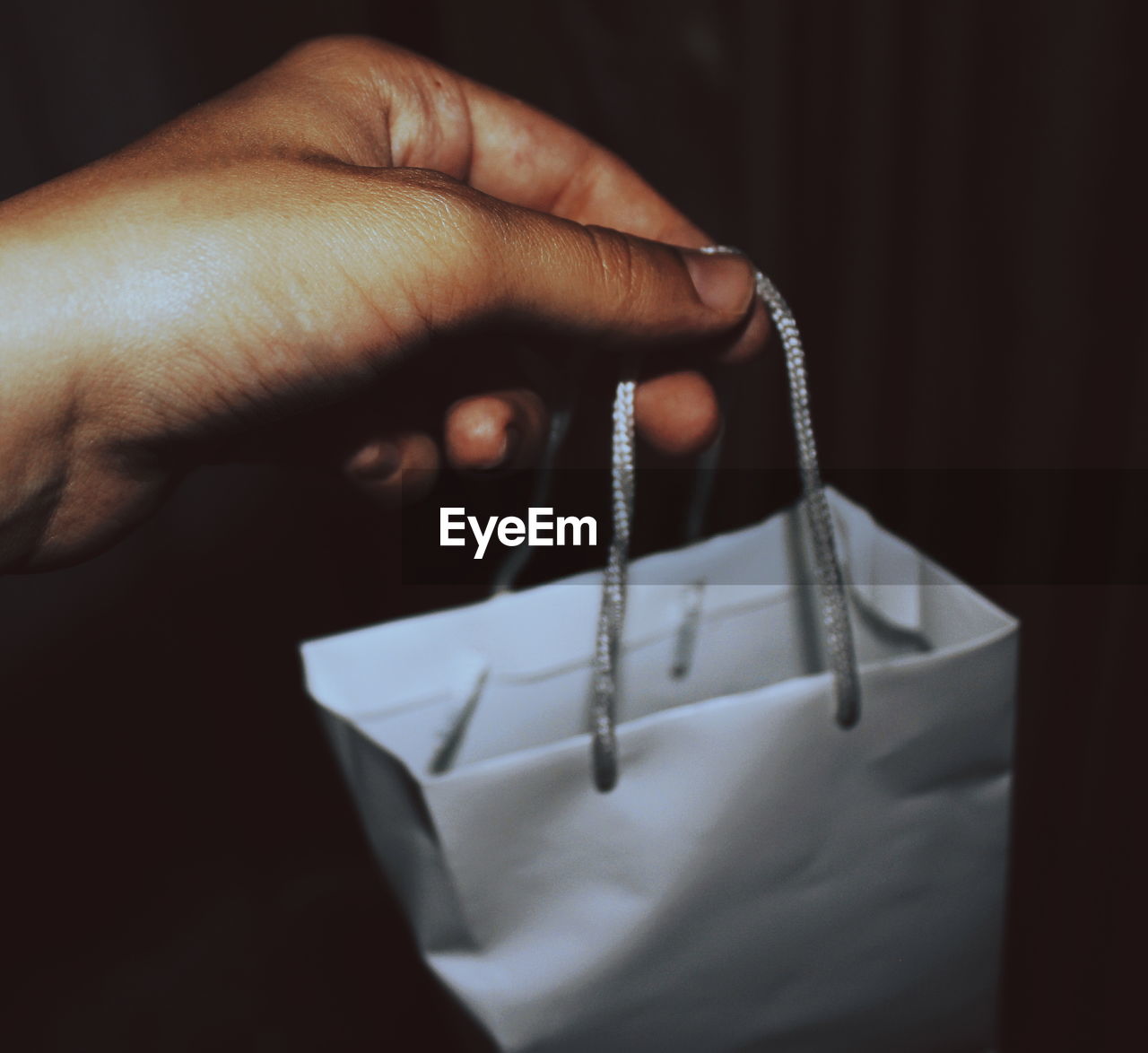 Close-up of person holding shopping bag