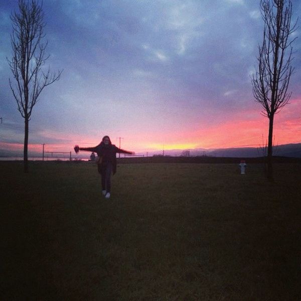 SILHOUETTE OF BARE TREE ON FIELD AT SUNSET