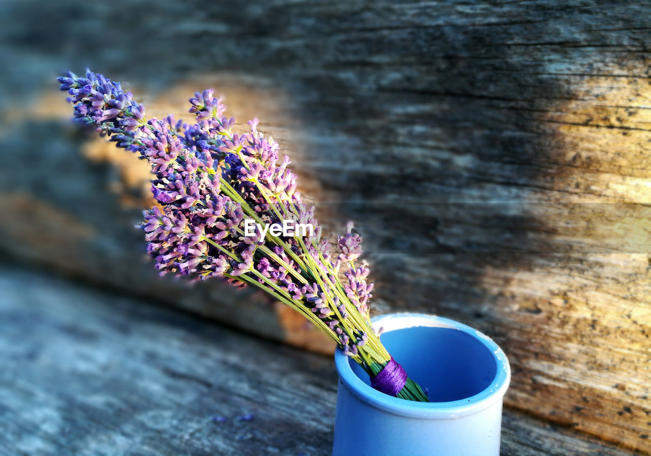 Close-up of purple lavender on table