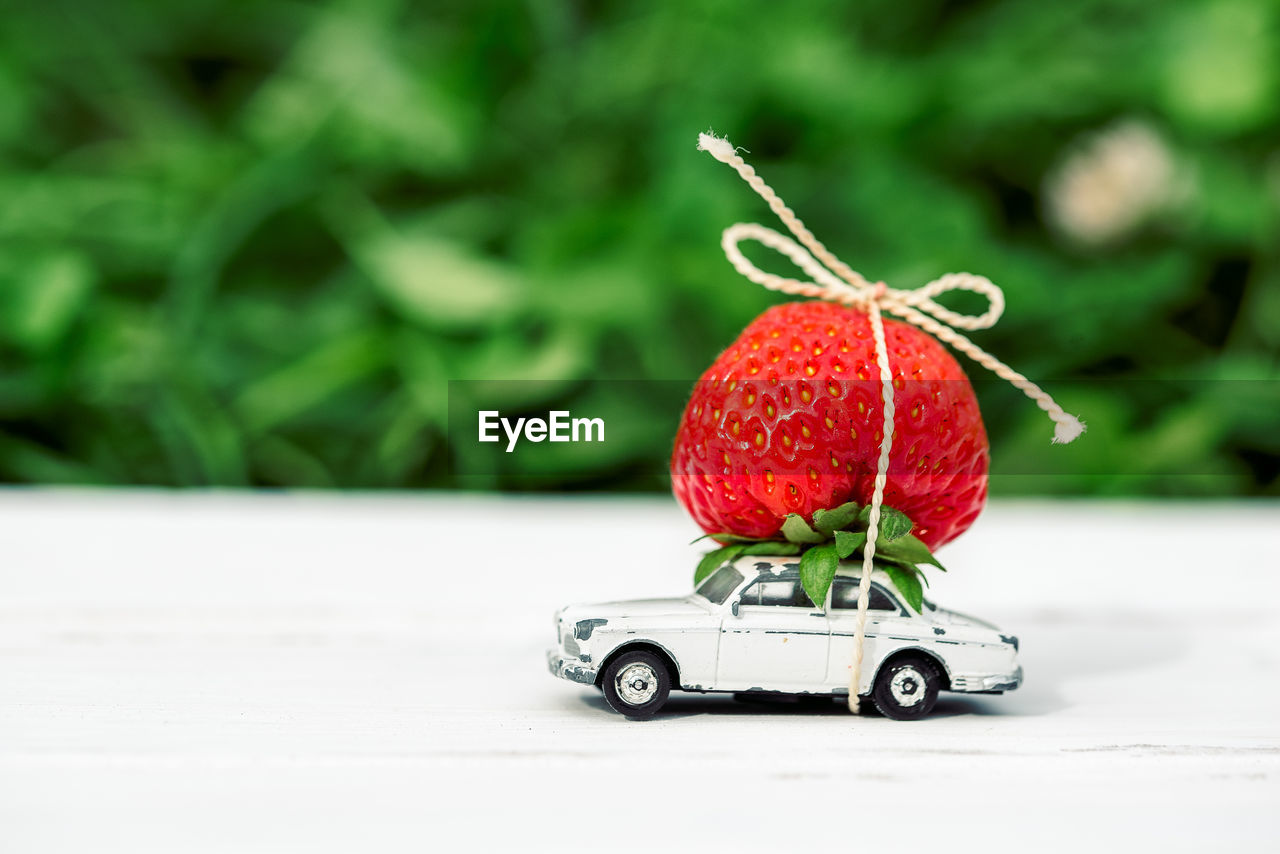 CLOSE-UP OF RED CHERRIES IN TOY CAR