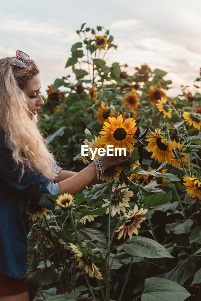 LOW ANGLE VIEW OF WOMAN AGAINST SUNFLOWER