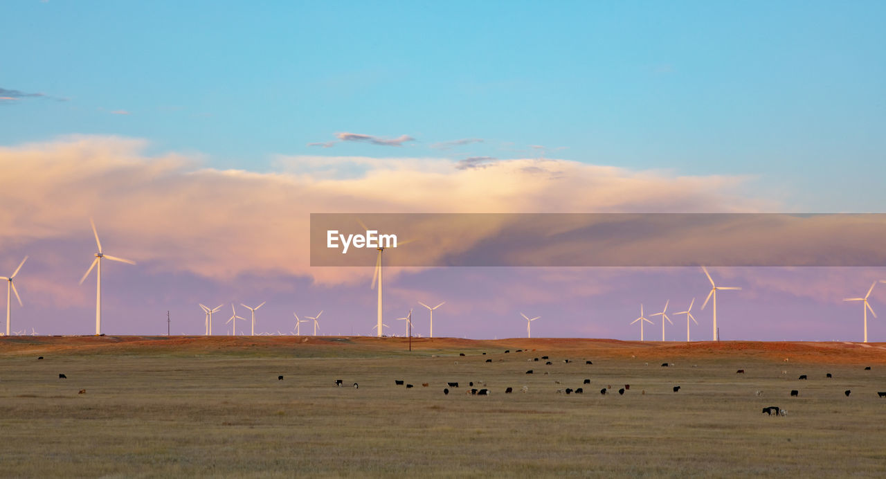 Wind turbines in field against dusk sky with cattle