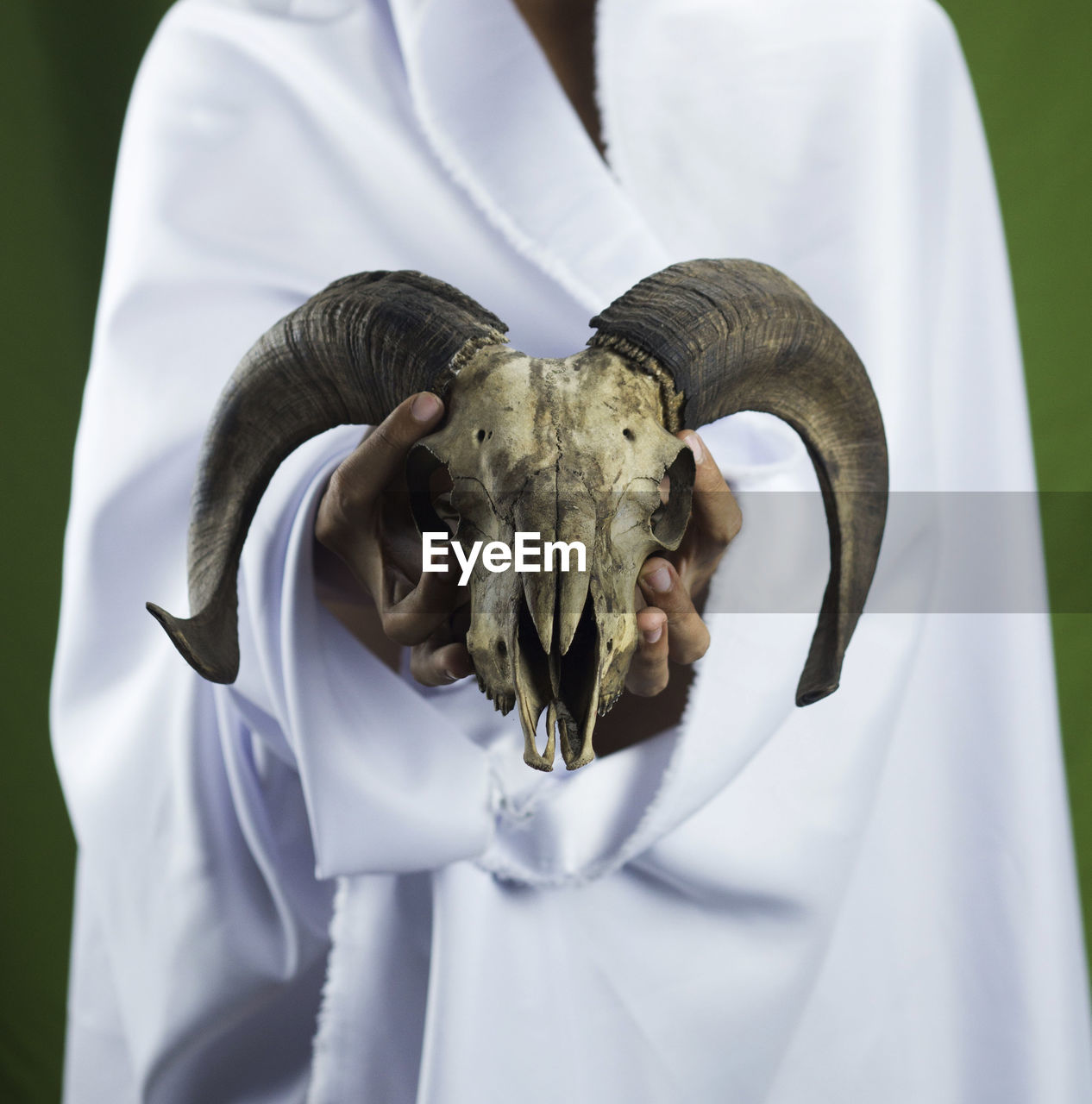 The sheep's skull is held by a mysterious white figure, it looks scary