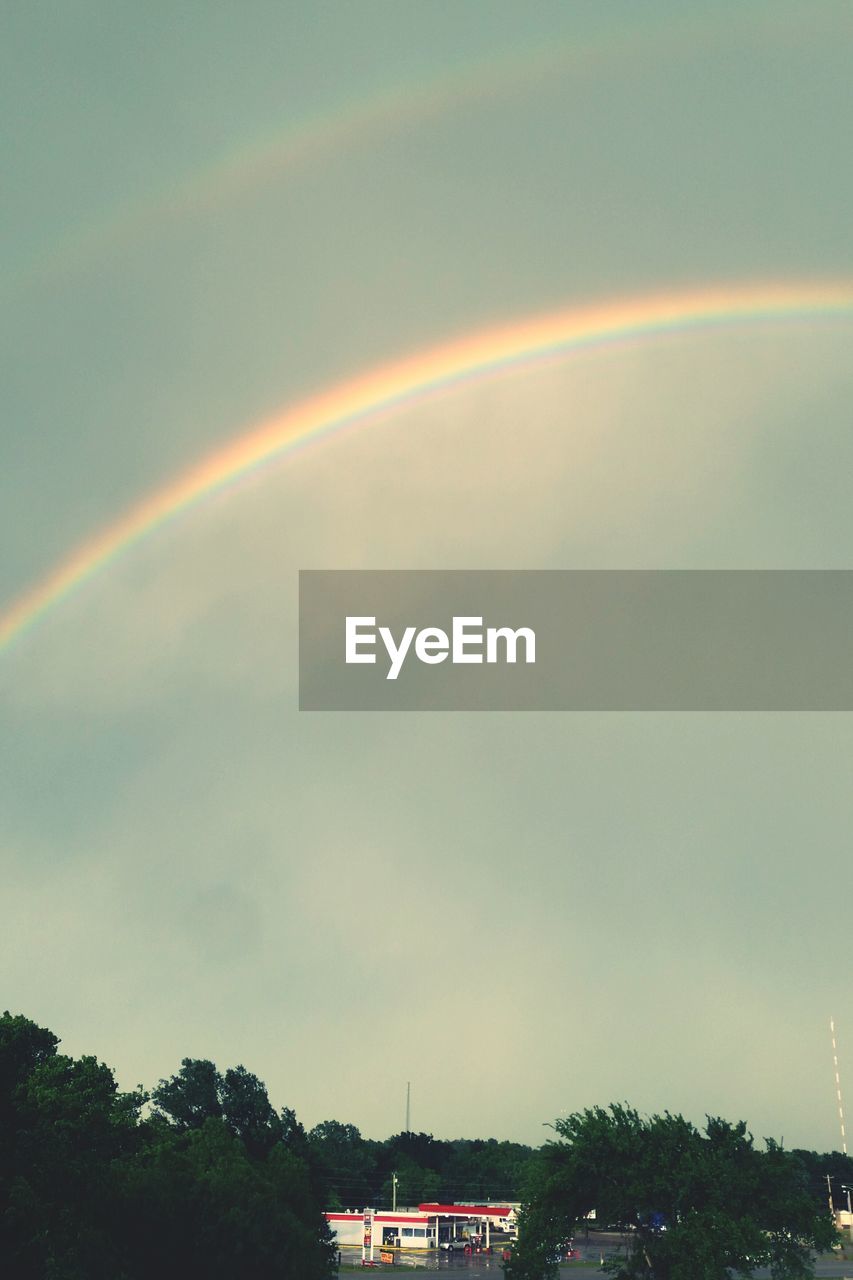 RAINBOW OVER TREES AGAINST SKY