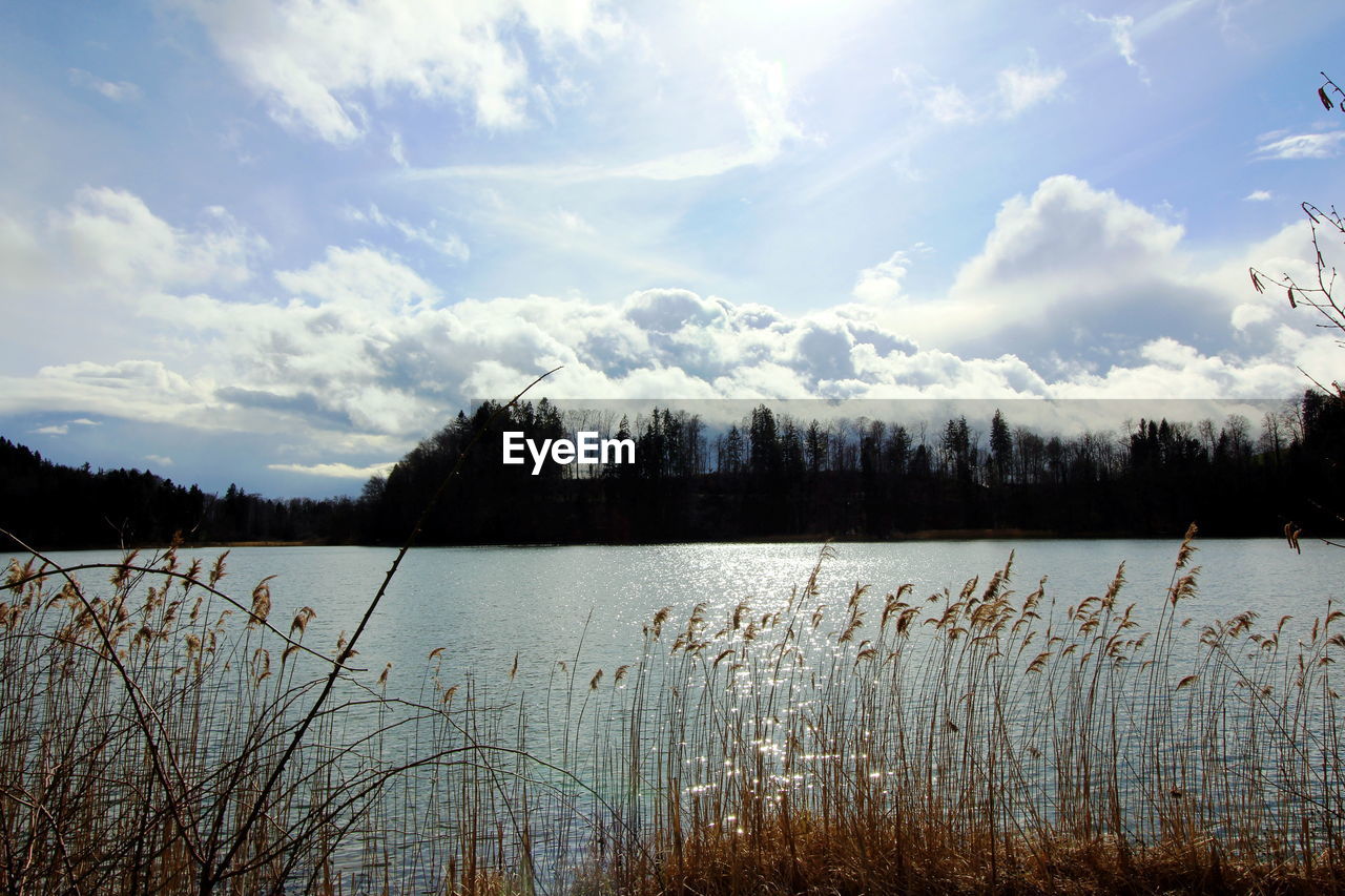 Scenic view of lake against sky