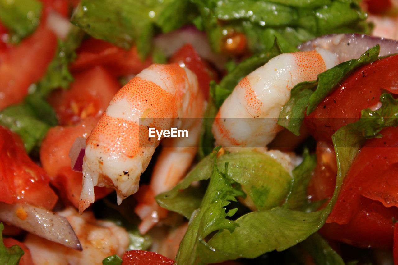 food and drink, food, healthy eating, salad, vegetable, wellbeing, freshness, dish, shrimp, fruit, produce, close-up, no people, cuisine, seafood, tomato, indoors, red, meal
