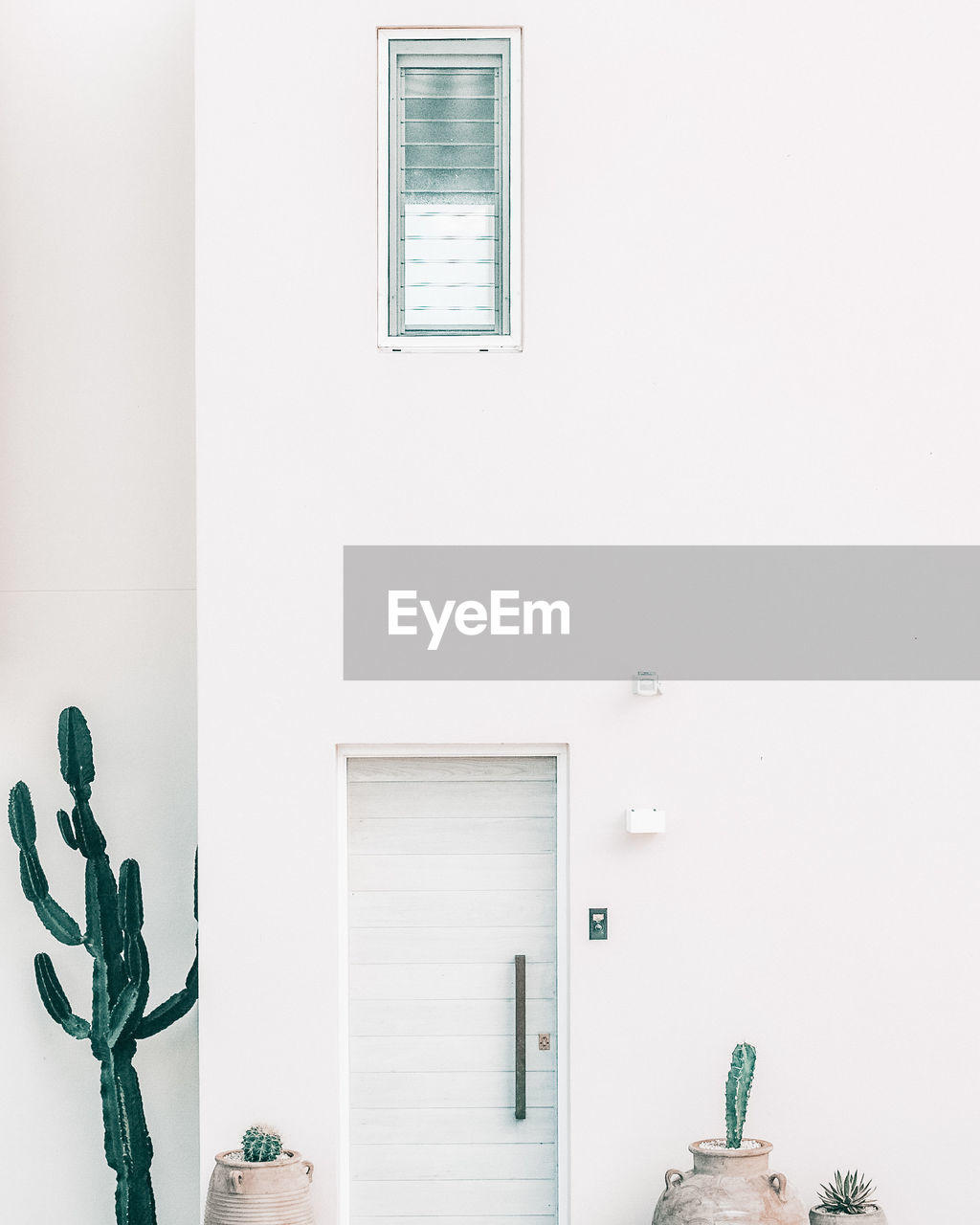 Potted plant against wall