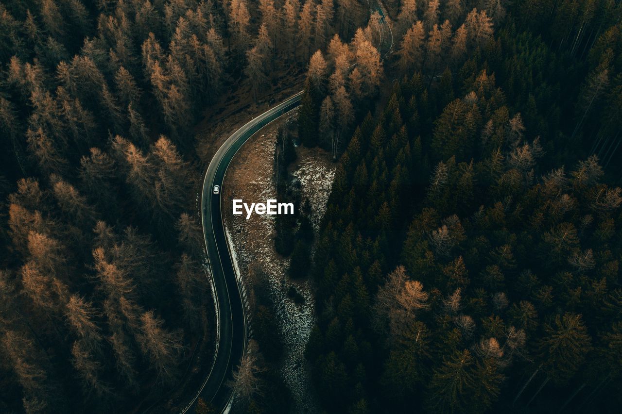 Aerial view of road amidst trees in forest